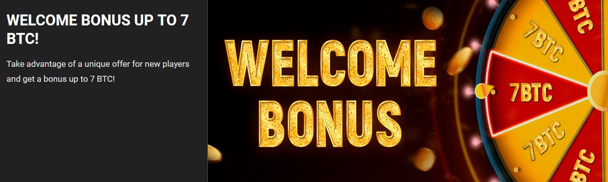 100% bonus on your first deposit up to 1 BTC